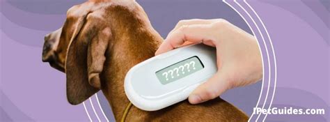 scan pet microchip with phone